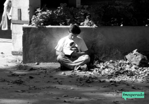 inesperado.org_resistir ou desistir?