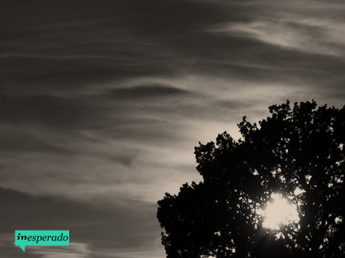 inesperado Verao