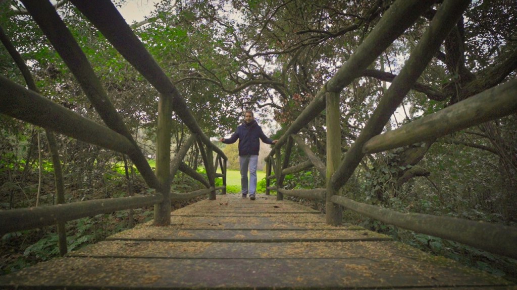 Como decidir o melhor&nbsp;caminho?