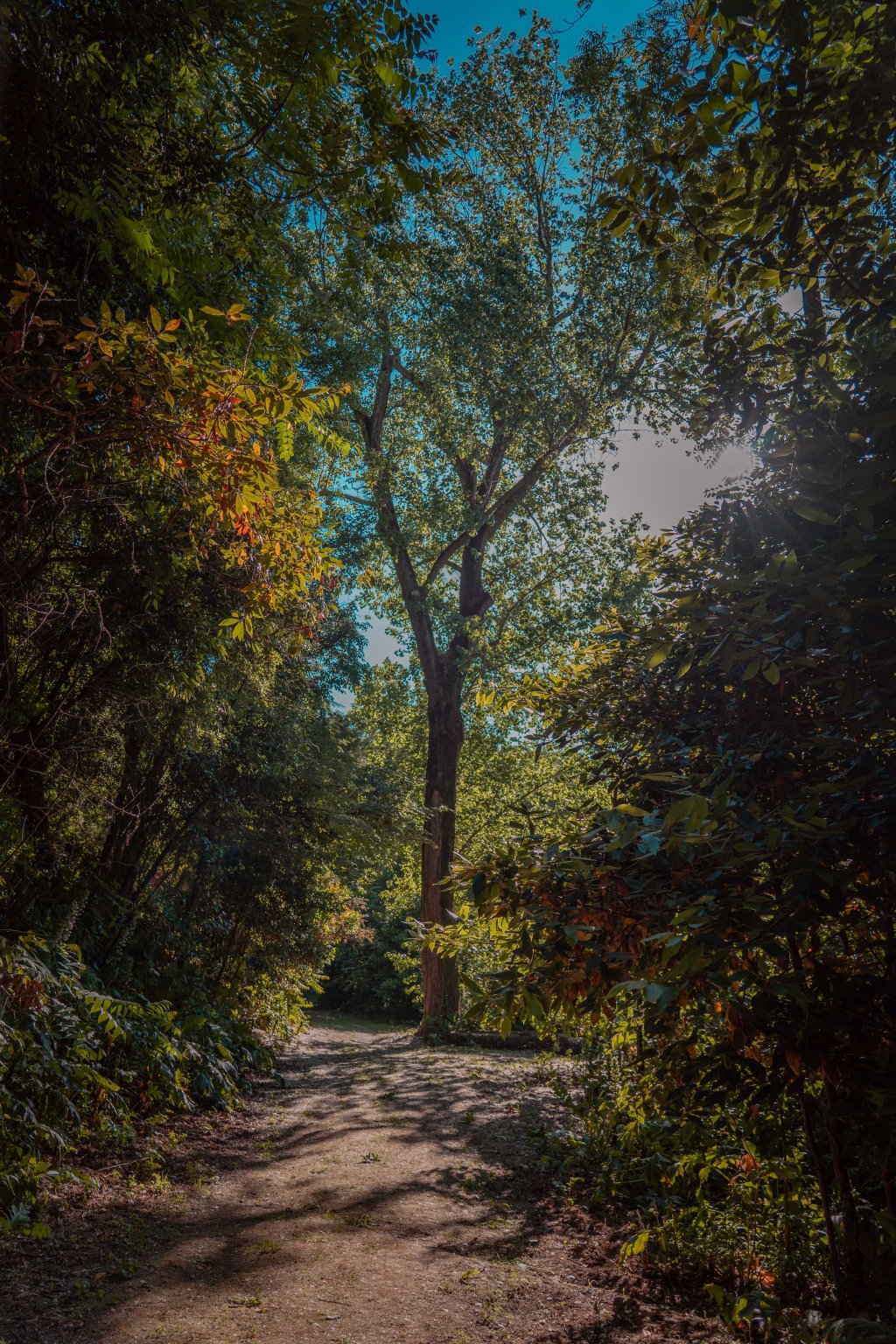 Caminhar para descansar